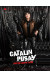 Catalin Pusay