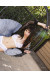 Kira Shine June Pet Of The Month
